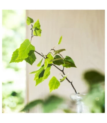 عطر آویز داخل کمد ایکیا مدل ADLAD مجموعه 2 عددی