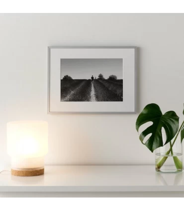 قاب عکس ایکیا مدل LOMVIKEN اندازه 40×30 سانتیمتر
