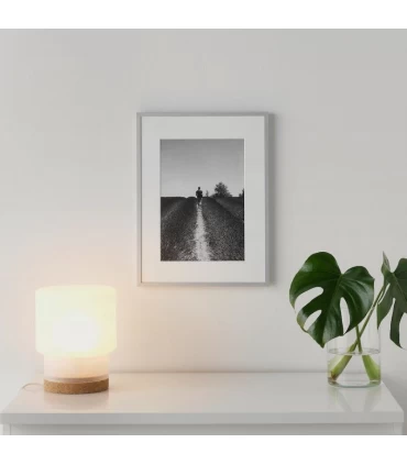قاب عکس ایکیا مدل LOMVIKEN اندازه 40×30 سانتیمتر