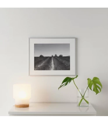 قاب عکس ایکیا مدل LOMVIKEN اندازه 50×40 سانتیمتر