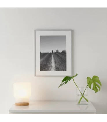 قاب عکس ایکیا مدل LOMVIKEN اندازه 50×40 سانتیمتر