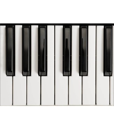 پوستر دیواری 4 تکه طرح دکمه های پیانو 1WALL مدل W4P-PIANO-001