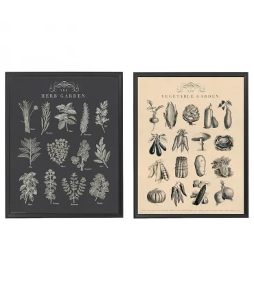 قاب عکس به همراه پوستر ایکیا مدل KNOPPANG اندازه 50×40 سانتیمتر با موضوع باغ پک 2 عددی